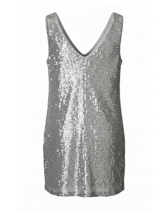 Silver Sequin Dress (XS)
